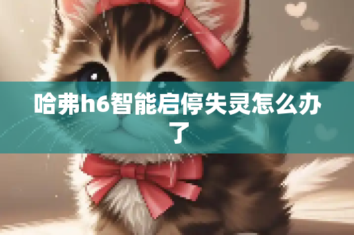 哈弗h6智能启停失灵怎么办了
