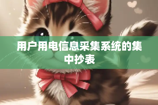 用户用电信息采集系统的集中抄表