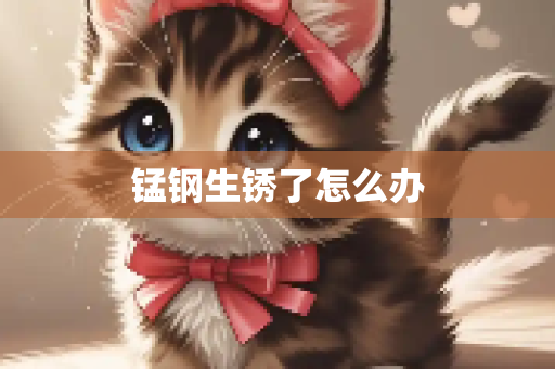锰钢生锈了怎么办