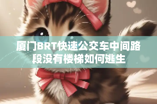 厦门BRT快速公交车中间路段没有楼梯如何逃生