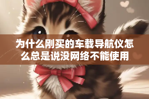 为什么刚买的车载导航仪怎么总是说没网络不能使用