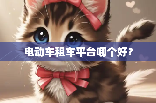 电动车租车平台哪个好？