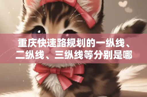 重庆快速路规划的一纵线、二纵线、三纵线等分别是哪里到哪里
