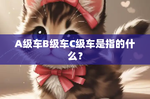 A级车B级车C级车是指的什么？