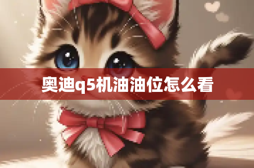 奥迪q5机油油位怎么看
