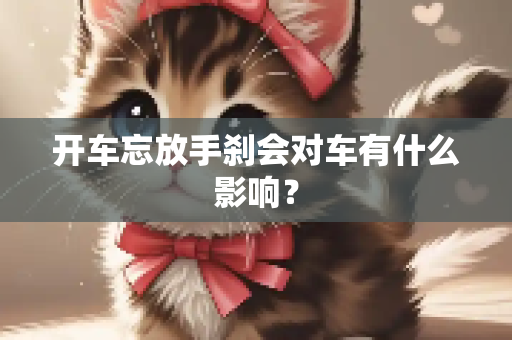 开车忘放手刹会对车有什么影响？