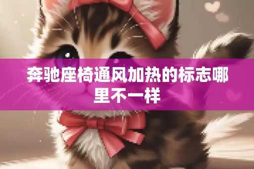 奔驰座椅通风加热的标志哪里不一样