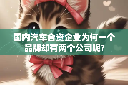国内汽车合资企业为何一个品牌却有两个公司呢?