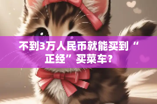 不到3万人民币就能买到“正经”买菜车？